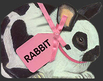 Rabbit Cover