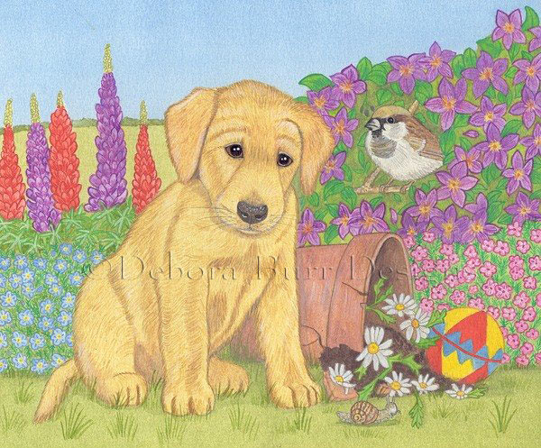 Red Riding Hood in kitchen